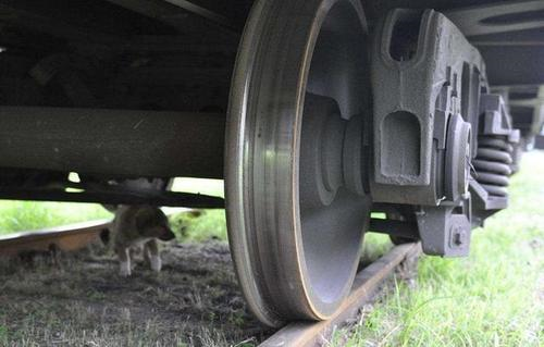 應(yīng)變片法火車車輪殘余應(yīng)力測(cè)試