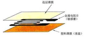 電阻應變片的基本結構